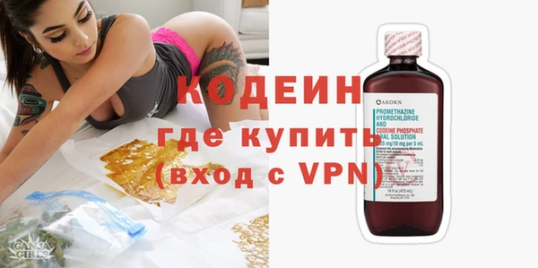 прущие грибы Горнозаводск