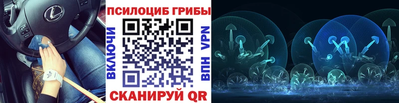 хочу Дедовск Галлюциногенные грибы мухоморы